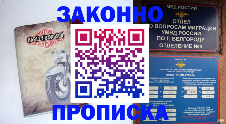 прописка для школы в Юрге
